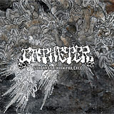 Catheter: Southwest Doom Violence